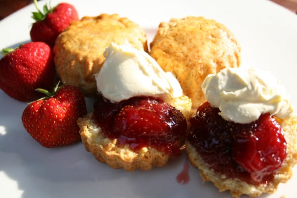 To celebrate National Cream Tea Day on June 30th 2023, here are 10 of the best Devon cream teas within an easy drive of our Devon holiday cottages.
